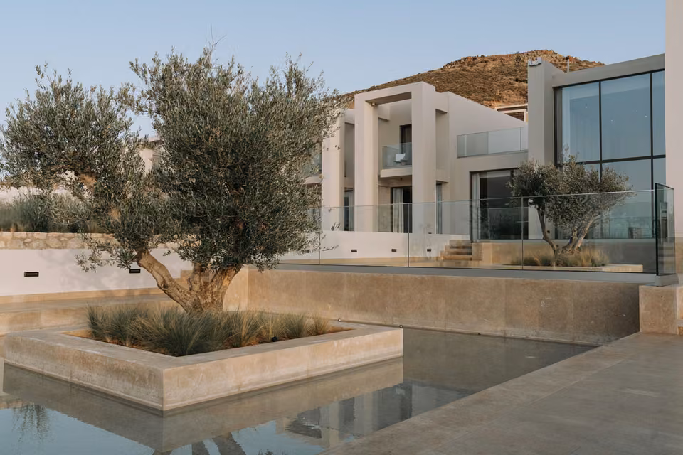 Villa blanche avec bassin et oliviers
