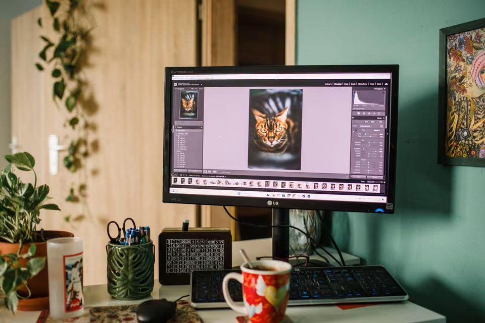 Écran de retouche affichant le portrait d’un chat dans un studio chaleureux.