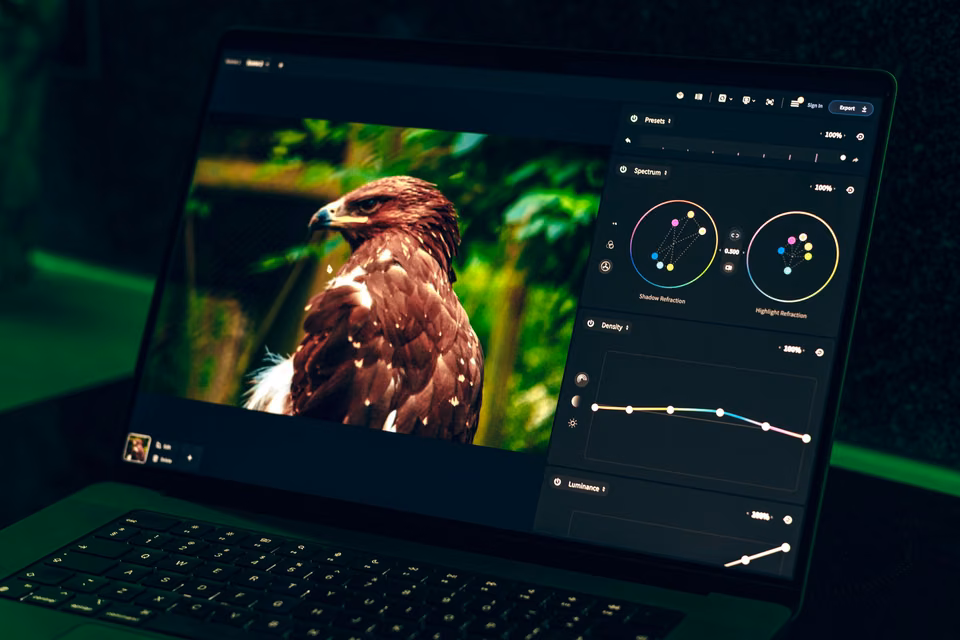 Photo d’un aigle ouverte avec des réglages colorimétriques sur un portable dans la pénombre.